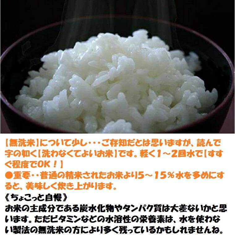 令和7年度産 【特別栽培米】清水米 無洗米5kg袋  越前こしひかり 新米 米 福井の美味しいお米今年は9月末からのお届けです。 |  | 03