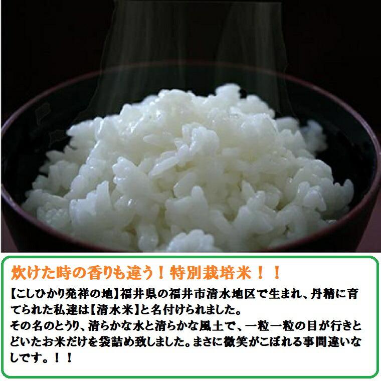 令和7年度産 【特別栽培米】清水米 無洗米5kg袋  越前こしひかり 新米 米 福井の美味しいお米今年は9月末からのお届けです。 |  | 04