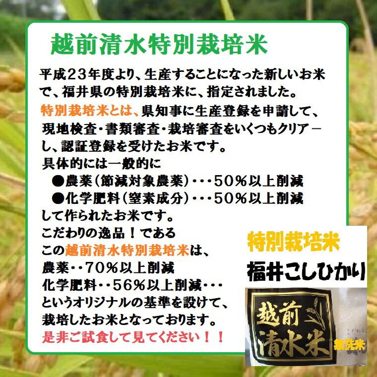 令和7年度産 【特別栽培米】清水米 無洗米10kg袋  越前こしひかり 新米 米 福井の美味しいお米 今年は9月末からのお届けです。 |  | 02