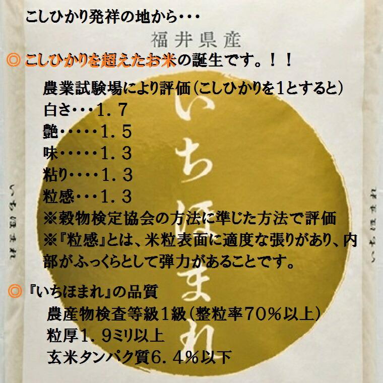 令和7年度産 新米【いちほまれ】2K袋 福井のお米特別栽培米 白米