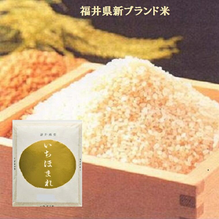 令和7年度産 新米【いちほまれ】5K袋 福井のお米特別栽培米 白米 