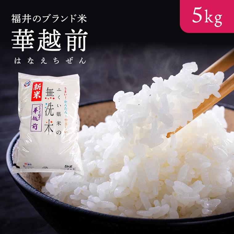 令和7年度産 無洗米【はなえちぜん5KG袋】【福井県米ブランド米 
