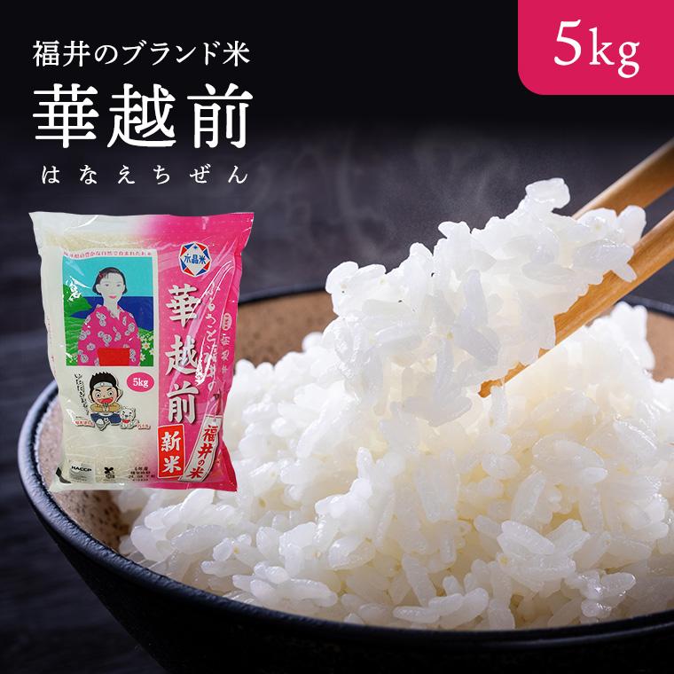 令和7年度産 精米【はなえちぜん】 5KG袋 【福井県米ブランド米】華