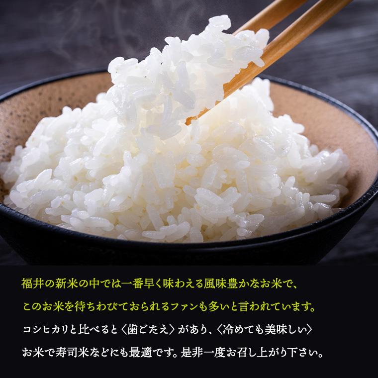 令和7年度産 精米【はなえちぜん】 2KG袋 【福井県米ブランド米】華