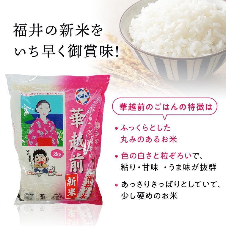令和7年度産 精米【はなえちぜん】 2KG袋 【福井県米ブランド米】華