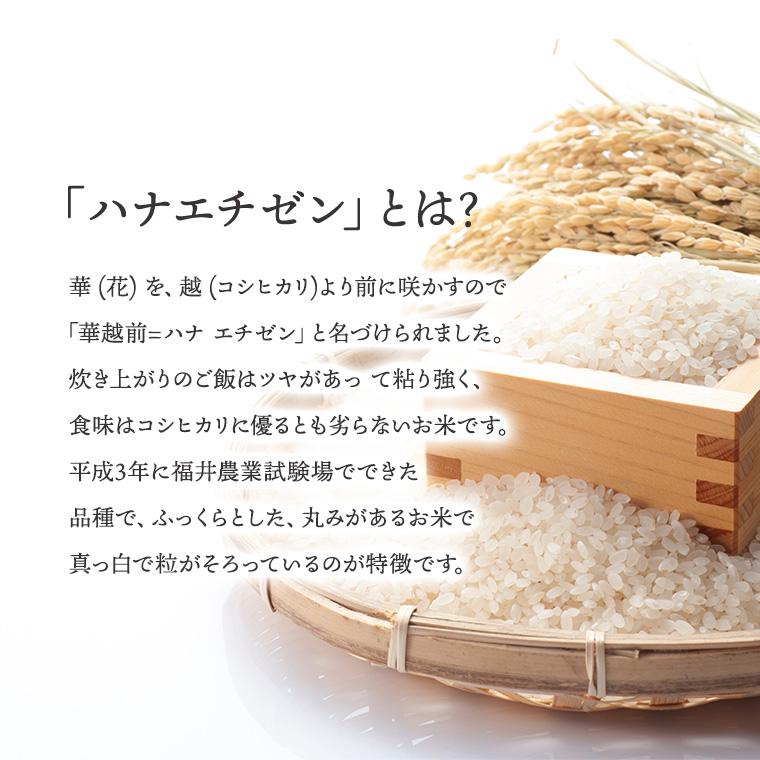 令和7年度産 精米【はなえちぜん】 2KG袋 【福井県米ブランド米】華