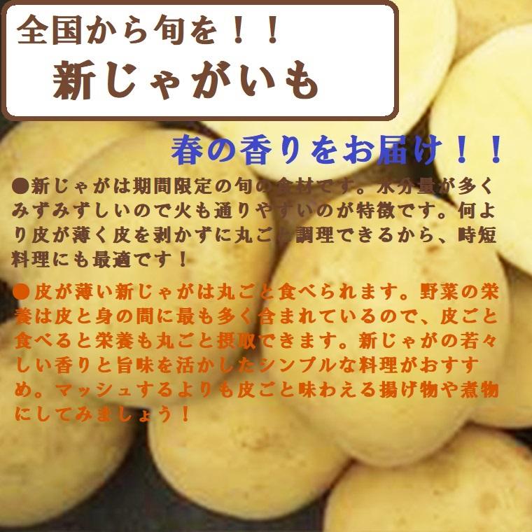 国産  新じゃがいも M-2L 約10kg 新じゃがいもは九州から 産地こだわり じゃがいも 期間限定 春野菜の画像