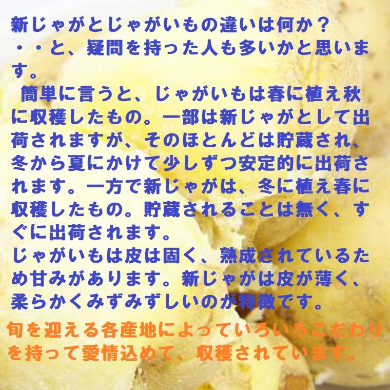 国産  新じゃがいも M-2L 約10kg 新じゃがいもは九州から 産地こだわり じゃがいも 期間限定 春野菜の画像