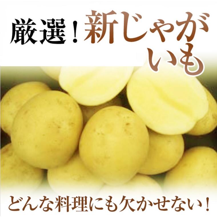 国産  新じゃがいも M-2L 約10kg 新じゃがいもは九州から 産地こだわり じゃがいも 期間限定 春野菜の画像