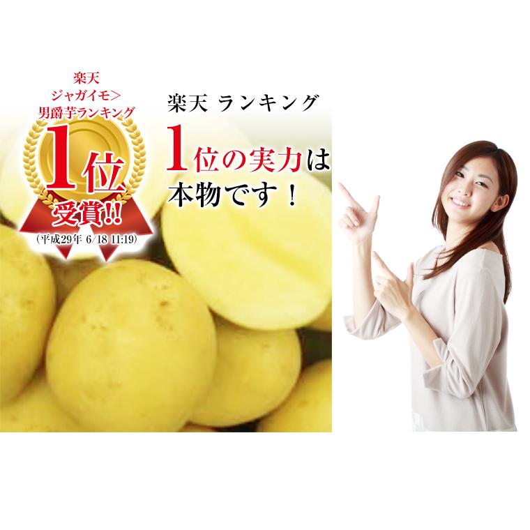 国産 新じゃがいもM-2L 約3kg 新じゃがいもは九州から 産地こだわり じゃがいも 期間限定 春野菜 |  | 03