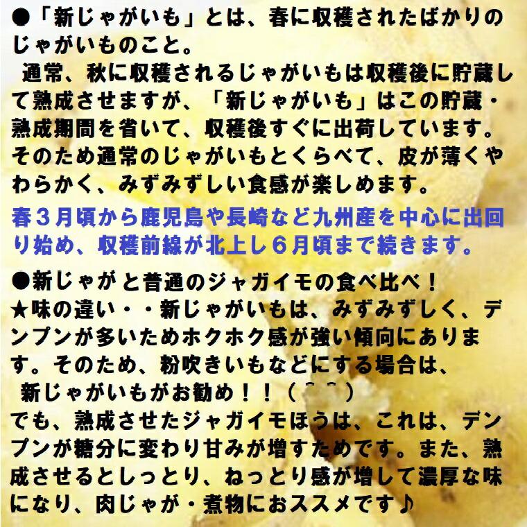 国産 新じゃがいもM-2L 約3kg 新じゃがいもは九州から 産地こだわり じゃがいも 期間限定 春野菜 |  | 05