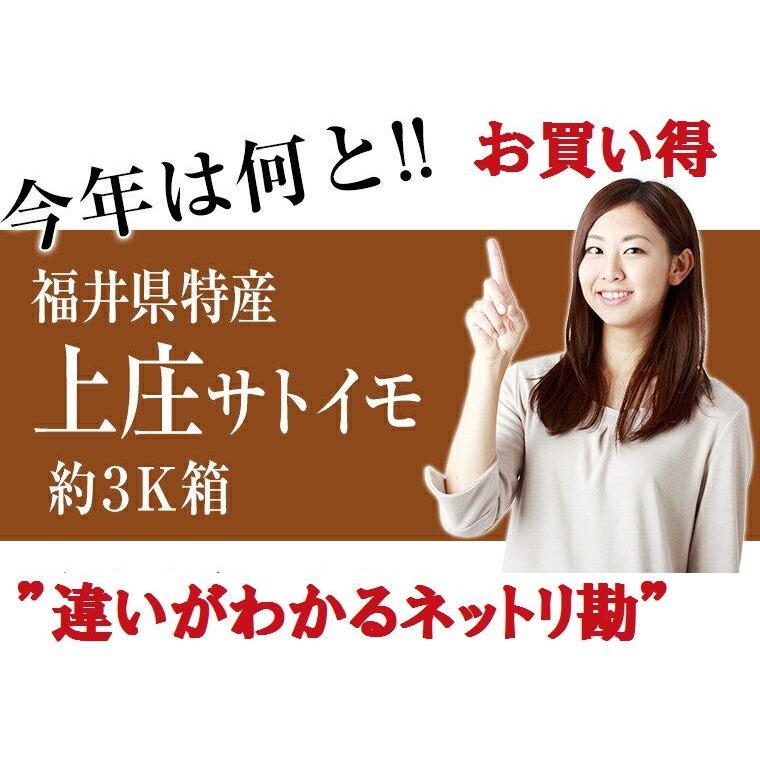 【冷凍】洗い里芋約秀品3Ｋ箱   福井県特産　芋煮会・芋煮・煮物　冷凍里芋　業務用