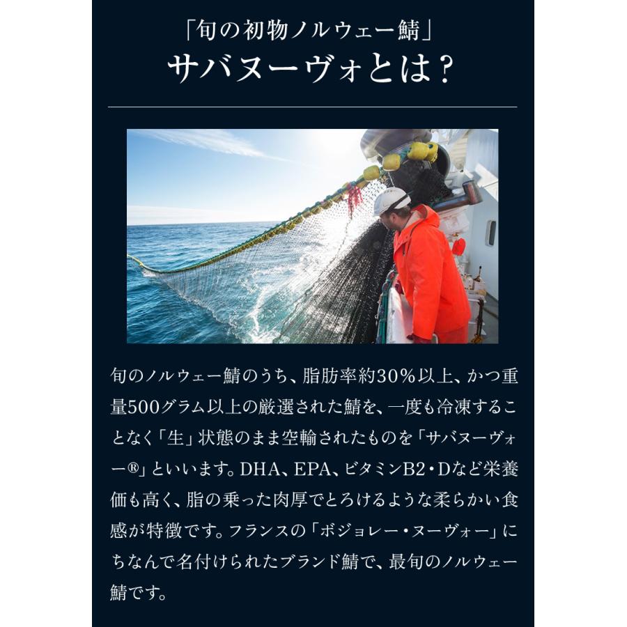 福井缶詰 復刻 鯖水煮缶詰 2缶 水煮 サバ缶 サバヌーヴォ 高級缶詰 ギフト 贈答用 ギフト プレゼント |  | 06
