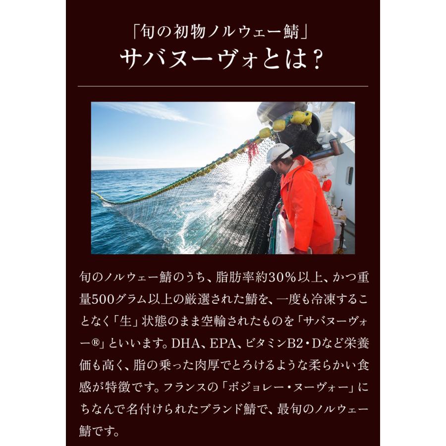福井缶詰 復刻 鯖味付缶詰(唐辛子入り) 2缶 水煮 サバ缶 サバヌーヴォ 高級缶詰 ギフト 贈答用 ギフト プレゼント　 |  | 05