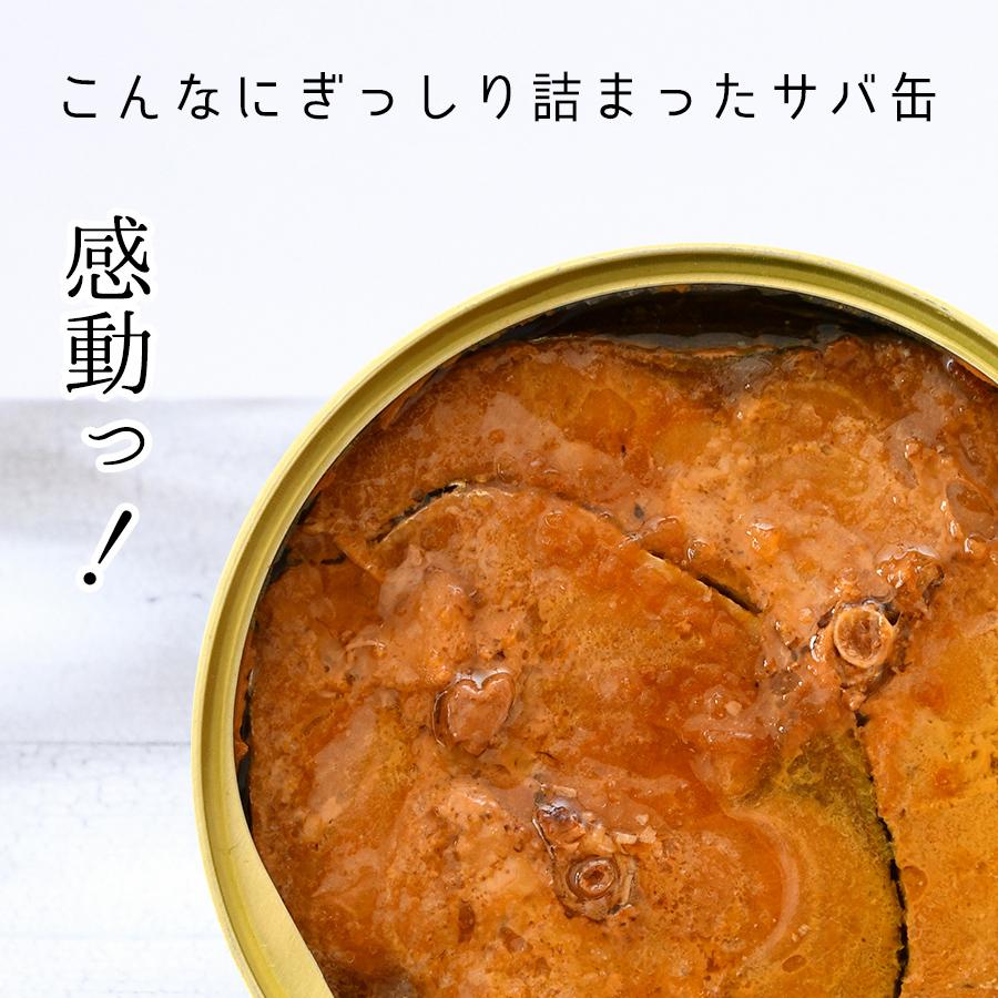 鯖缶 味付醤油仕立て 酵母エキス使用 ６缶 缶詰 高級 サバ缶 非常食 ノルウェー産 福井缶詰 |  | 03