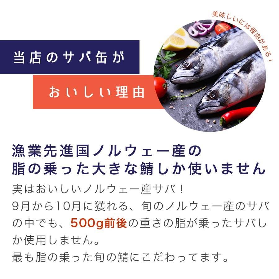 鯖缶 鯖味付缶詰（柚子果汁）２４缶 缶詰 高級 サバ缶 家飲み おつまみ ノルウェー産 福井缶詰 |  | 05