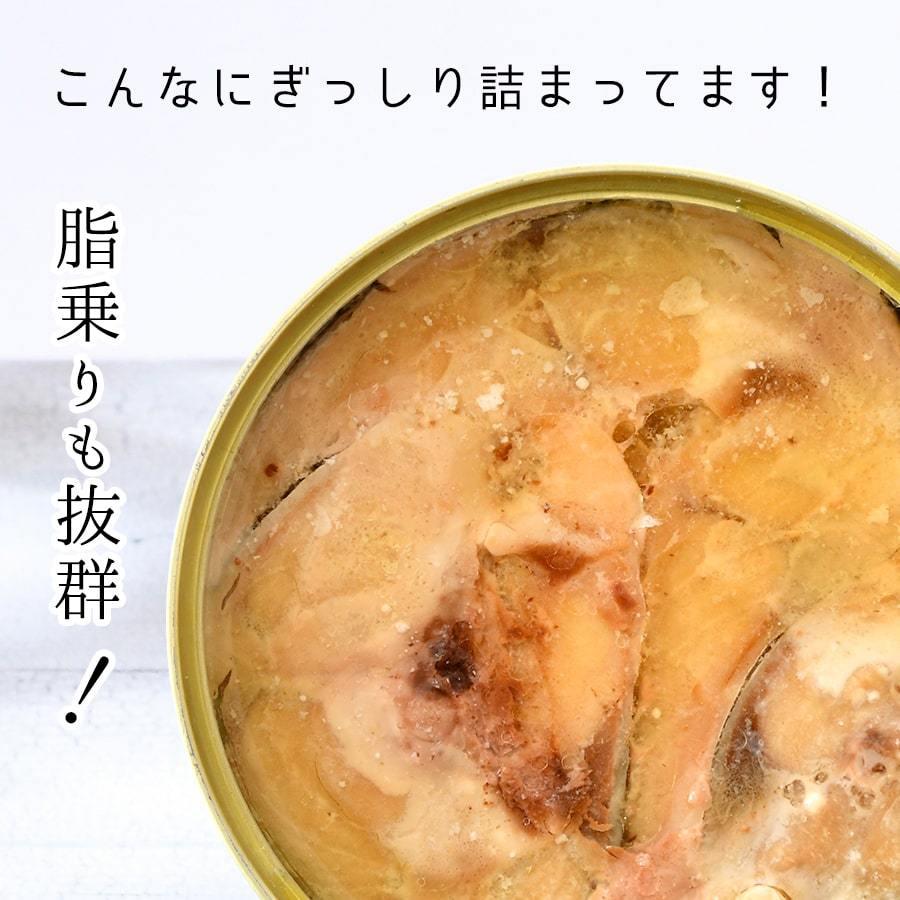 福井缶詰 鯖缶 水煮 3缶 缶詰 高級 サバ缶 缶つま 家飲み 缶詰め