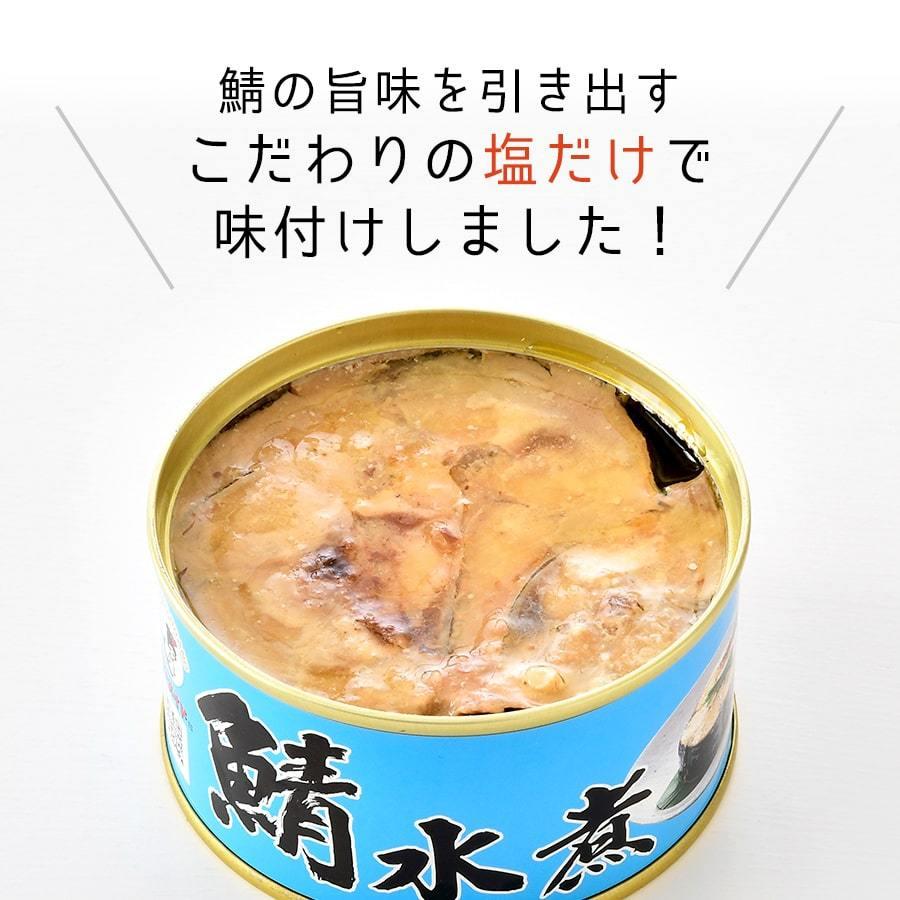 福井缶詰 鯖缶 水煮 6缶 缶詰 高級 サバ缶 おつまみ 缶つま 家飲み つま缶 缶詰め セット ギフト 非常食 おすすめ 魚 ノルウェー産 |  | 02
