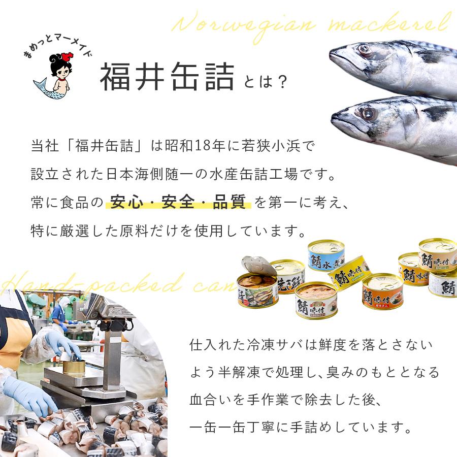 福井缶詰 鯖缶 水煮 6缶 缶詰 高級 サバ缶 おつまみ 缶つま 家飲み つま缶 缶詰め セット ギフト 非常食 おすすめ 魚 ノルウェー産 |  | 06
