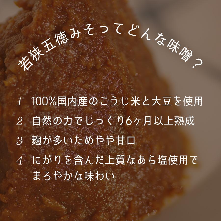 鯖缶 味噌煮 ６缶 缶詰 高級 サバ缶 非常食 ノルウェー産 福井缶詰 |  | 04