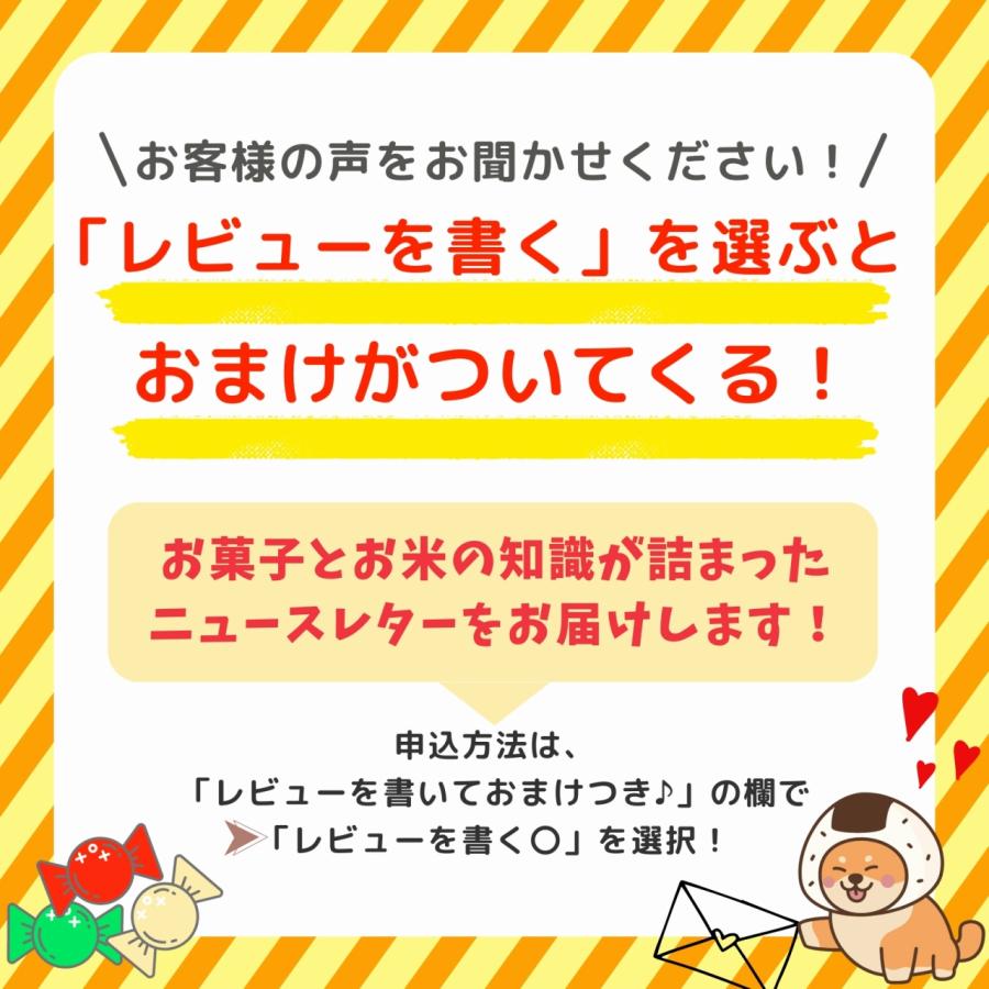コシヒカリ 米 20kg 5kg×4袋 福井県産 白米 令和7年産 送料無料 : 福井
