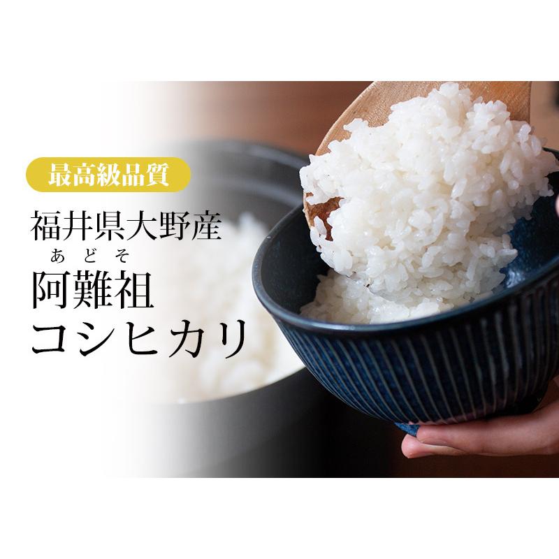 米 コシヒカリ 10kg 5kg×2袋 福井県大野阿難祖産 白米 送料無料 令和5年産｜fukuikomeya｜02