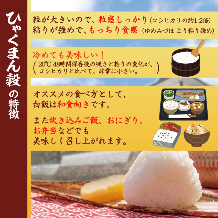 米 ひゃくまん穀 5kg×2袋 10kg 石川県産 白米 令和5年産 送料無料｜fukuikomeya｜04