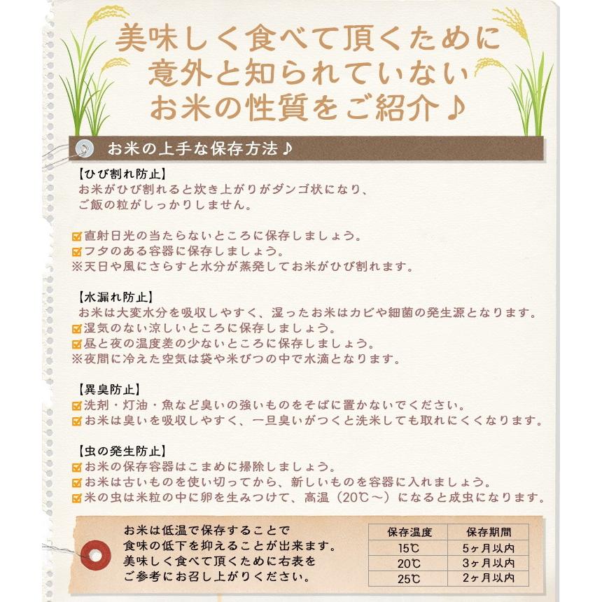 米 ハナエチゼン 5kg 福井県産 白米 令和5年産 送料無料｜fukuikomeya｜14