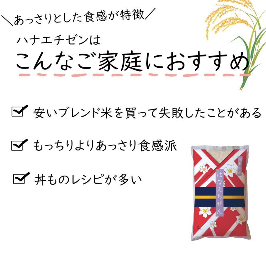 米 ハナエチゼン 5kg 福井県産 白米 令和5年産 送料無料｜fukuikomeya｜03