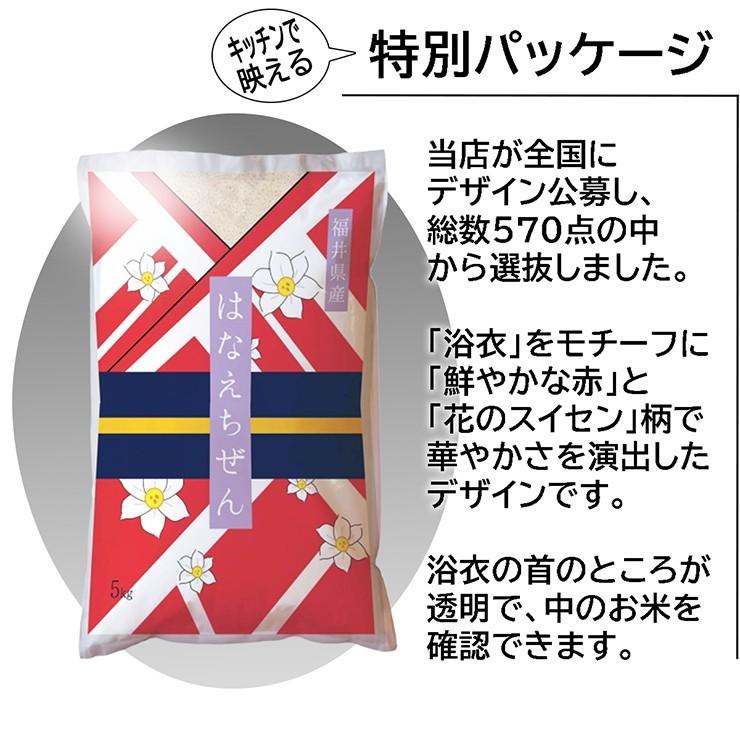 米 ハナエチゼン 10kg 5kg×2袋  白米 福井県産 令和5年産 送料無料｜fukuikomeya｜02