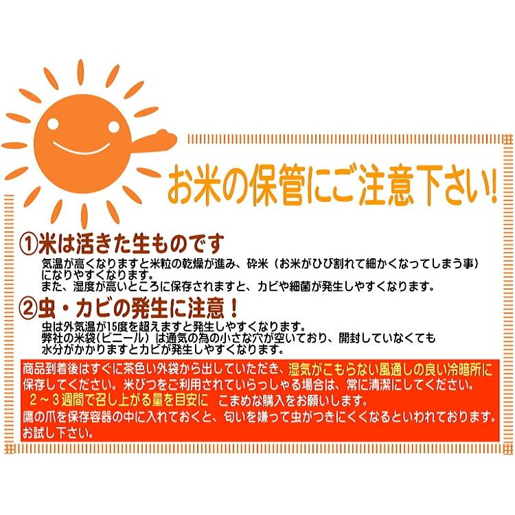 米 ハナエチゼン 10kg 5kg×2袋  白米 福井県産 令和5年産 送料無料｜fukuikomeya｜16