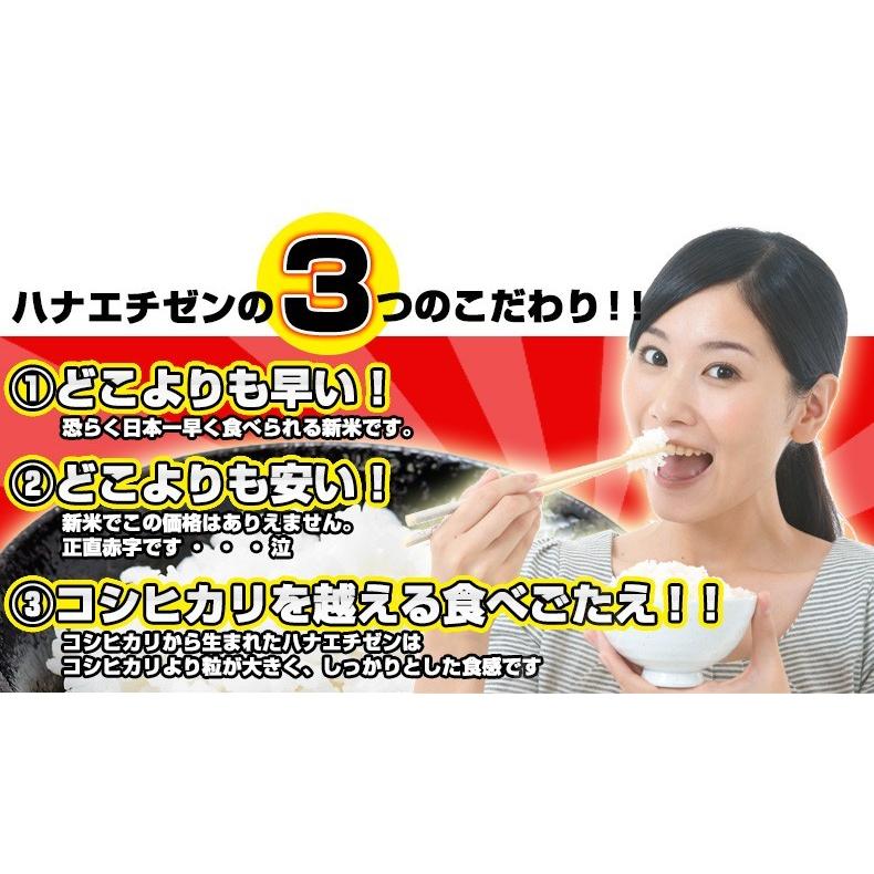 米 ハナエチゼン 10kg 5kg×2袋  白米 福井県産 令和5年産 送料無料｜fukuikomeya｜07