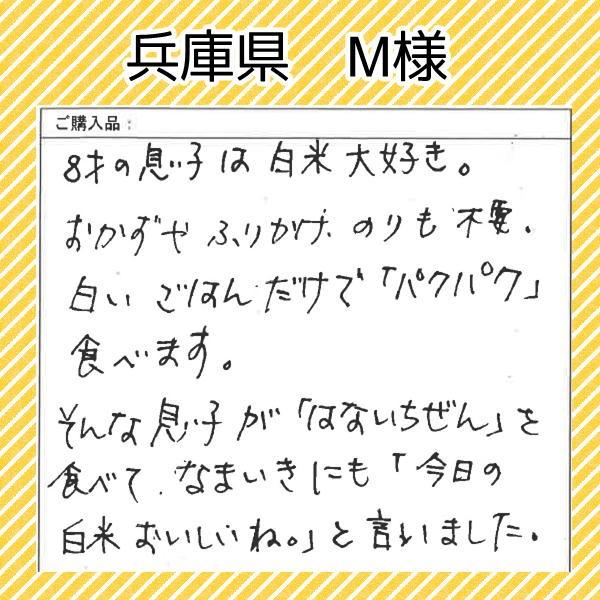 米 ハナエチゼン 20kg 5kg×4袋 白米 福井県産 令和5年産 送料無料｜fukuikomeya｜04