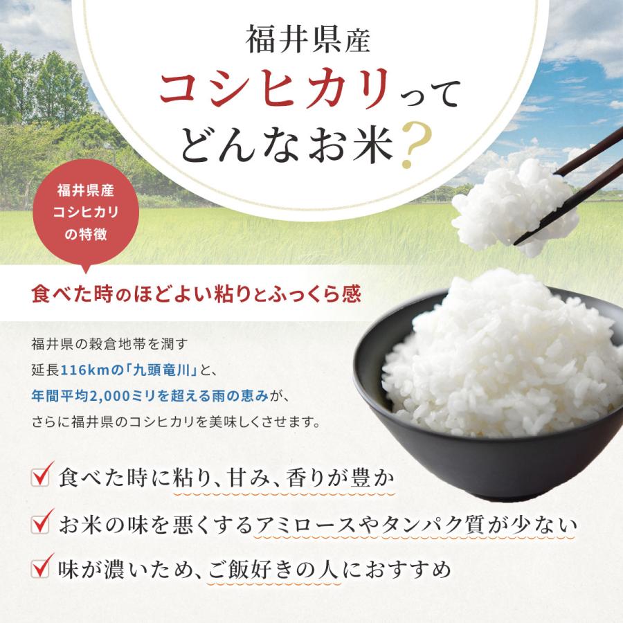 米 コシヒカリ 5kg 福井県産 白米 令和5年産 送料無料｜fukuikomeya｜04