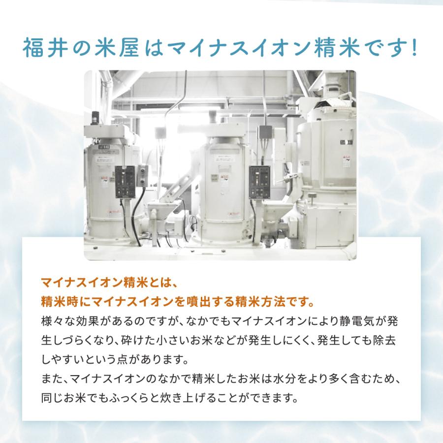 米 コシヒカリ 10kg 5kg×2袋 福井県産 白米 令和5年産 送料無料｜fukuikomeya｜07