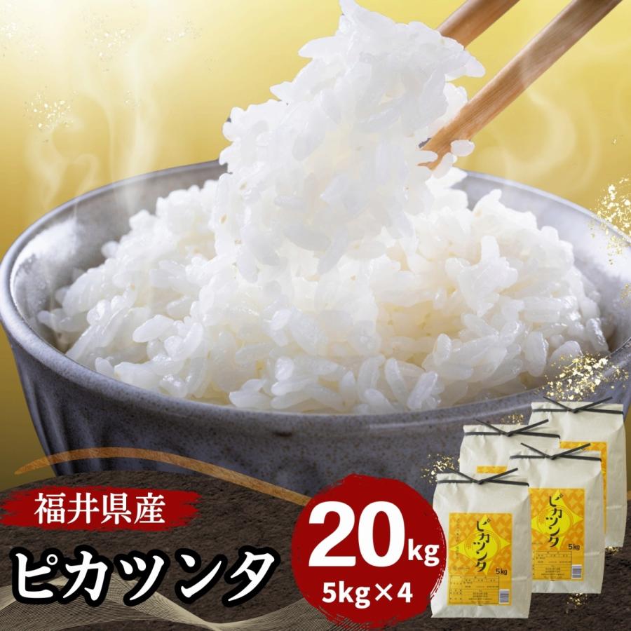 米 20kg 5kg×4袋 ピカツンタ 福井県産 白米 令和5年産 送料無料