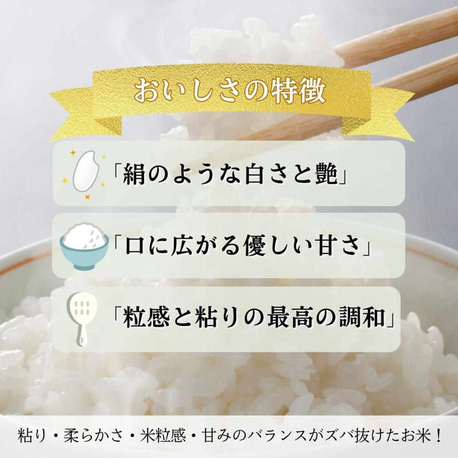 15kg 5kg×3袋 いちほまれ 福井県産 白米 令和7年産 送料無料 : 福井の