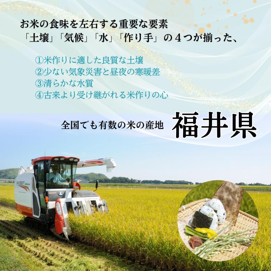15kg 5kg×3袋 いちほまれ 福井県産 白米 令和7年産 送料無料 : 福井の