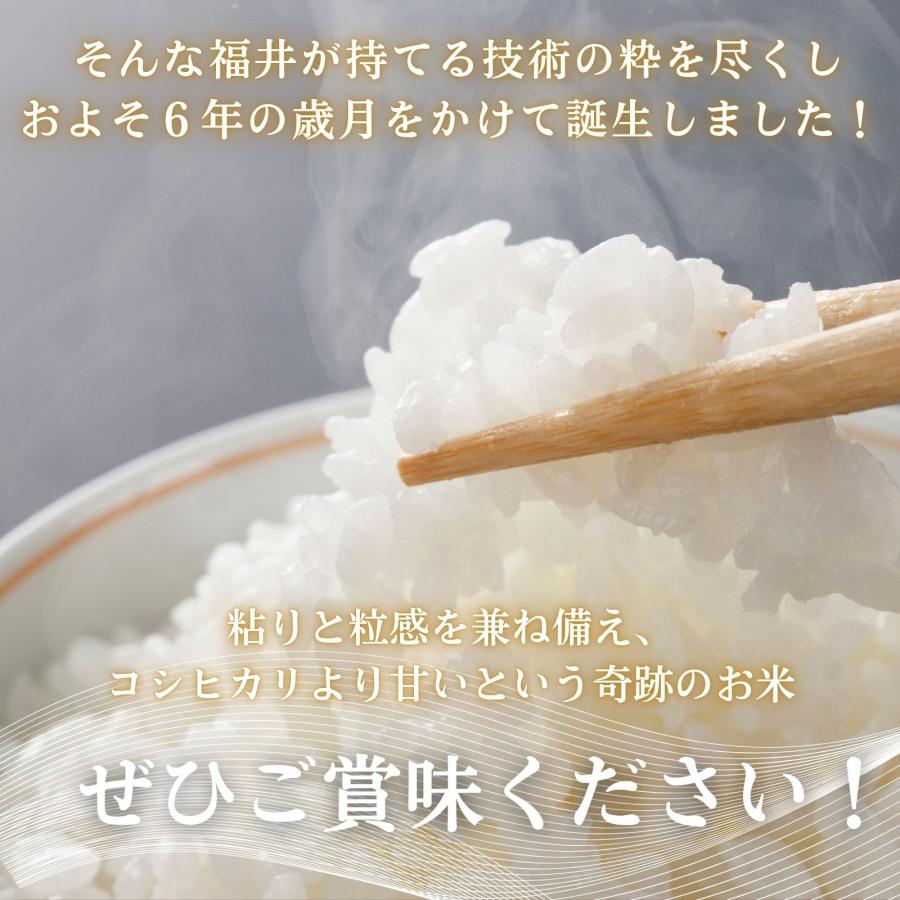 15kg 5kg×3袋 いちほまれ 福井県産 白米 令和7年産 送料無料 : 福井の