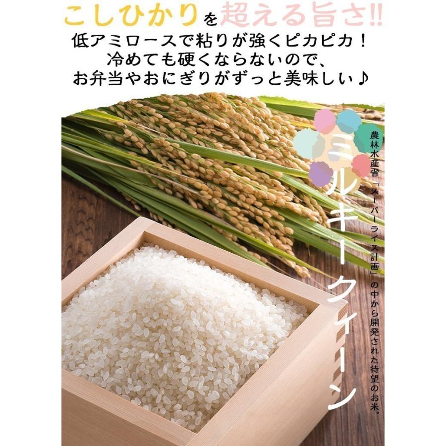 米 ミルキークイーン 10kg 5kg×2袋 送料無料 お米 白米 福井県産 令和2年産 令和3年産 :246-5-2:福井の米屋 - 通販 - Yahoo!ショッピング 米 ミルキークイーン 10kg 5kg×2袋 送料無料 お米 白米 福井県産 令和2年産 令和3年産 :246-5-2:福井の米屋 - 通販 - Yahoo!ショッピング