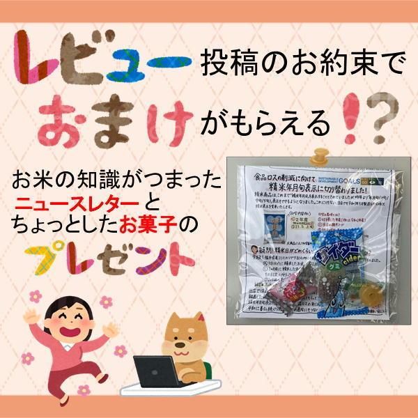 米 玄米 5kg コシヒカリ 福井県産 令和5年産 送料無料｜fukuikomeya｜08