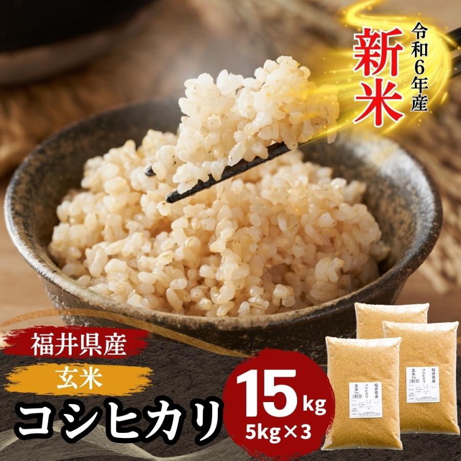 米 玄米 15kg 5kg×3袋 コシヒカリ 福井県産 令和4年産 送料無料 :31-5