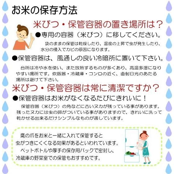 コシヒカリ 米 玄米 15kg 5kg×3袋 福井県産 令和7年産 送料無料 : 福井