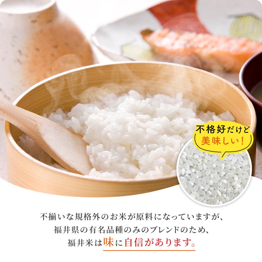 米 10kg 送料無料 福井米 福井県産100% 白米 令和5年産｜fukuikomeya｜02