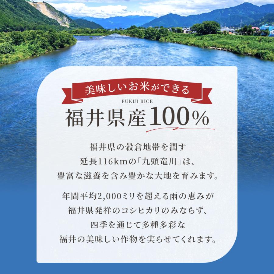 米 10kg 送料無料 福井米 福井県産100% 白米 令和5年産｜fukuikomeya｜06