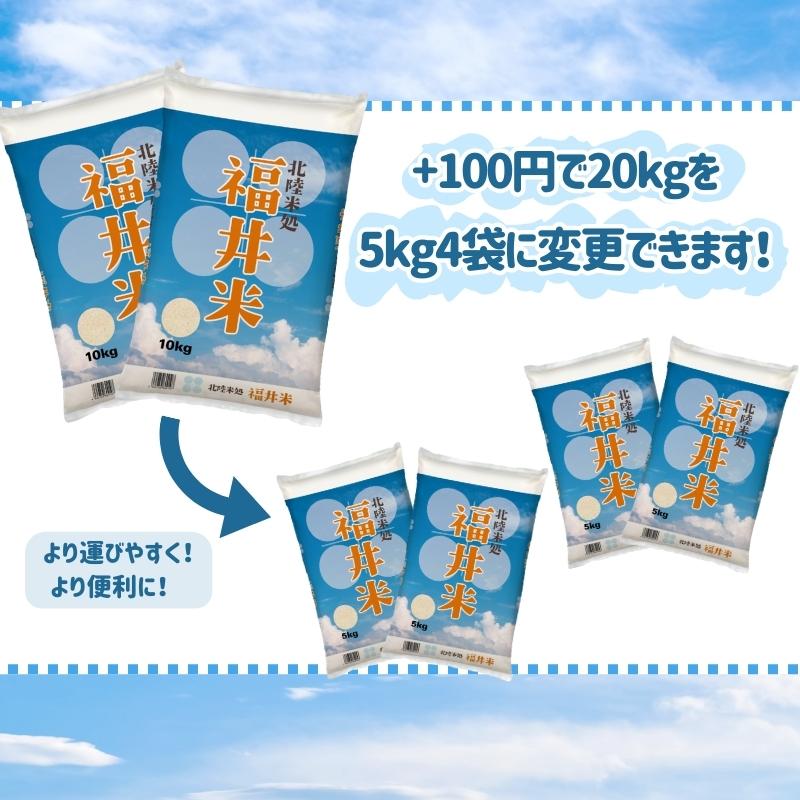 米 20kg 10kg×2袋 送料無料 福井米 福井県産100% 白米 令和5年産｜fukuikomeya｜15