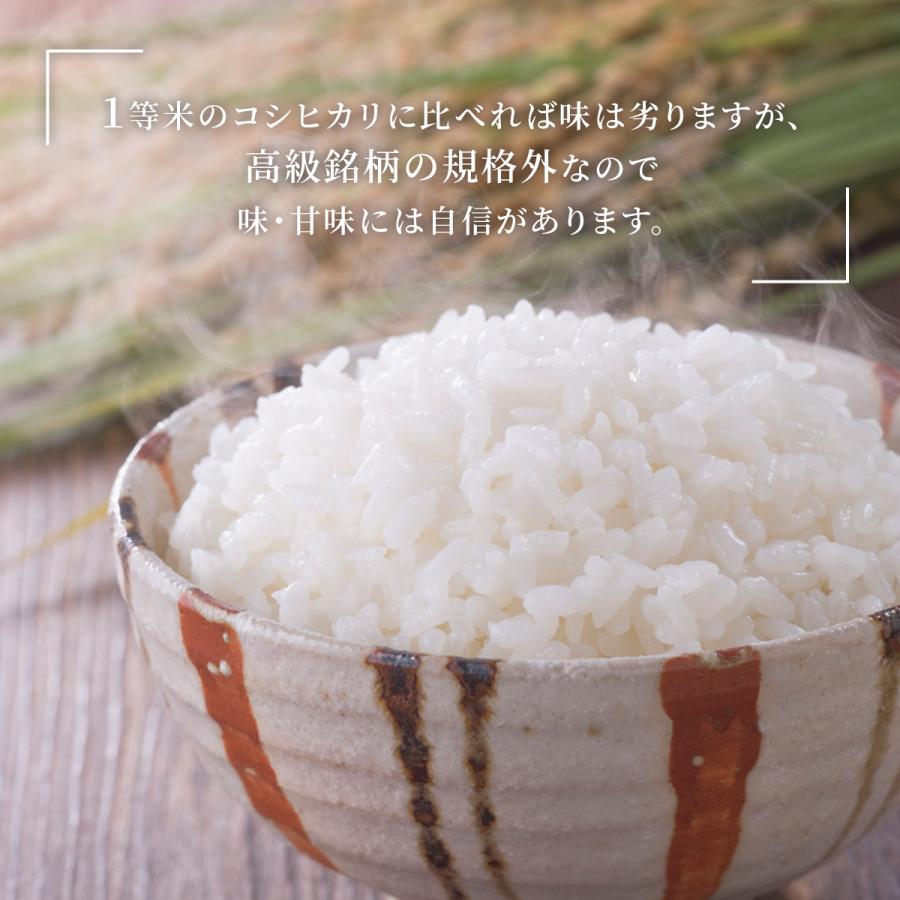 米 15kg 5kg×3袋 送料無料 福井米 福井県産100% 白米 令和7年産 : 福井