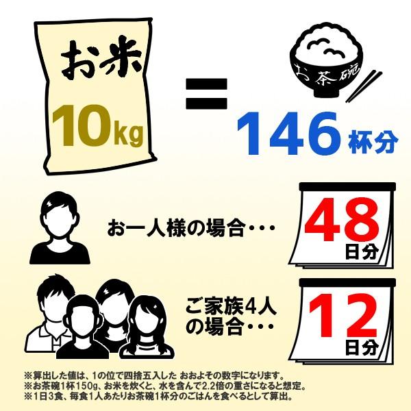 コシヒカリ 米 無洗米 15kg 5kg×3袋 福井県産 白米 令和7年産 送料無料