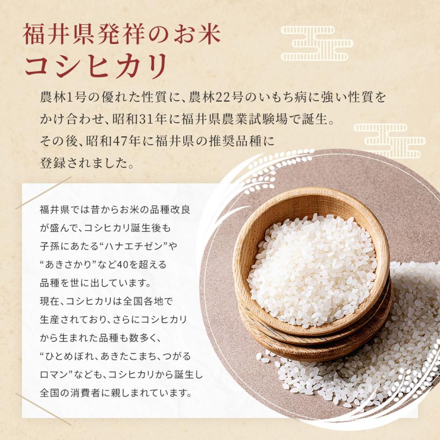 米 無洗米 15kg 5kg×3袋 コシヒカリ 福井県産 白米 令和5年産 送料無料｜fukuikomeya｜03