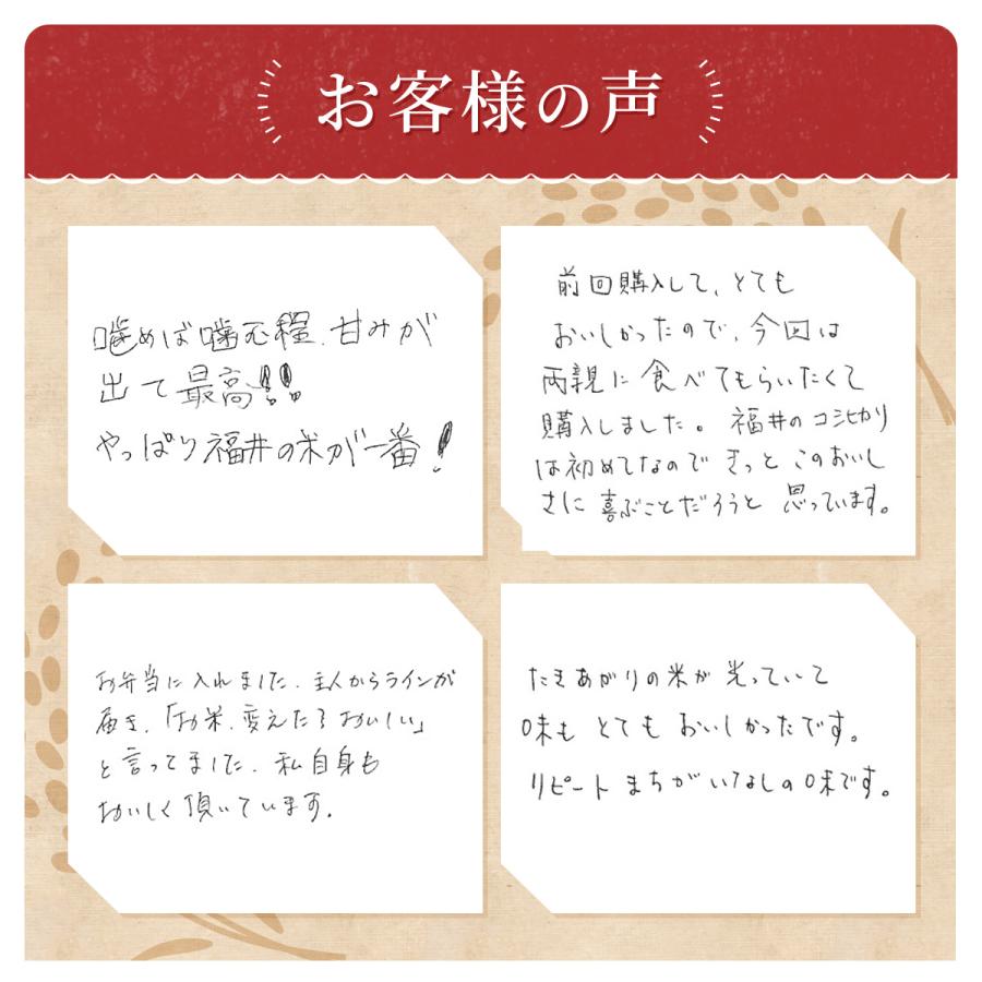 コシヒカリ 米 無洗米 15kg 5kg×3袋 福井県産 白米 令和7年産 送料無料